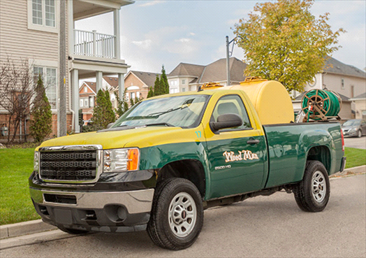 Weed Man Lawn Care program